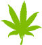 Cannabis leaf