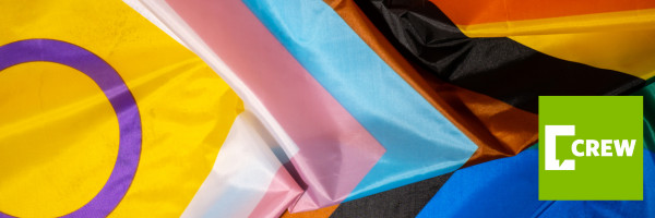 Progress flag inclusive of trans+, intersex and black, people of colour and LTBTQ+ identities.