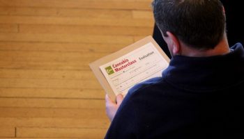 Person looking at cannabis masterclass information Person looking at cannabis masterclass information
